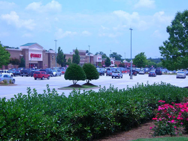Mall Image