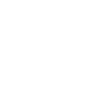 Apple Computer