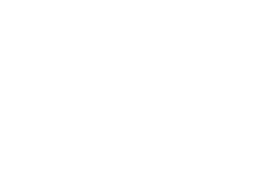 Swarovski Crystal