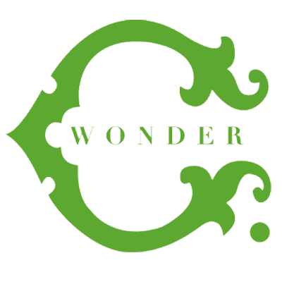 C. Wonder