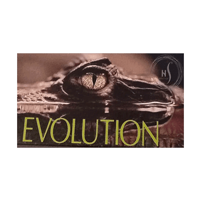 Hs Evolution