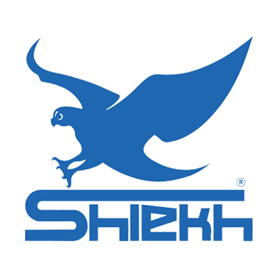 Shiekh Shoes